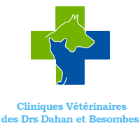 dahan-besombes.png